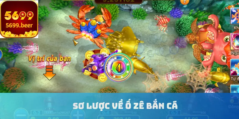 Sơ lược về Ố Zê bắn cá